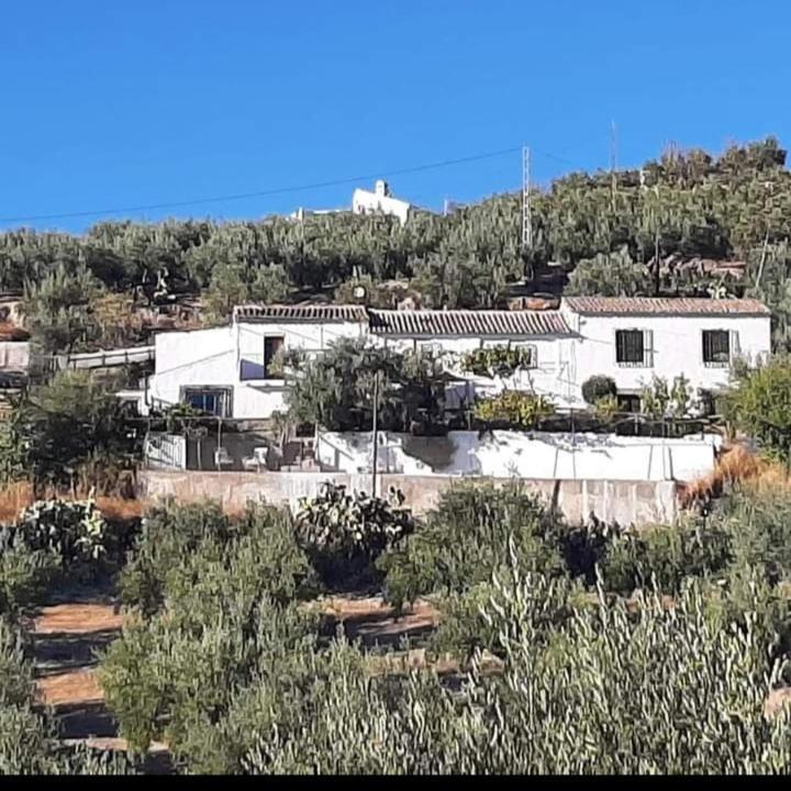 Apartmán Cortijo El Cerro Alcaudete Exteriér fotografie